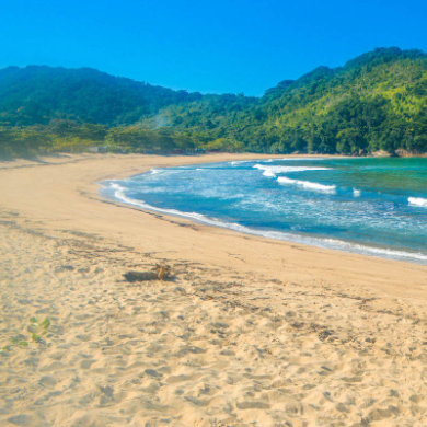Praia do Camburi